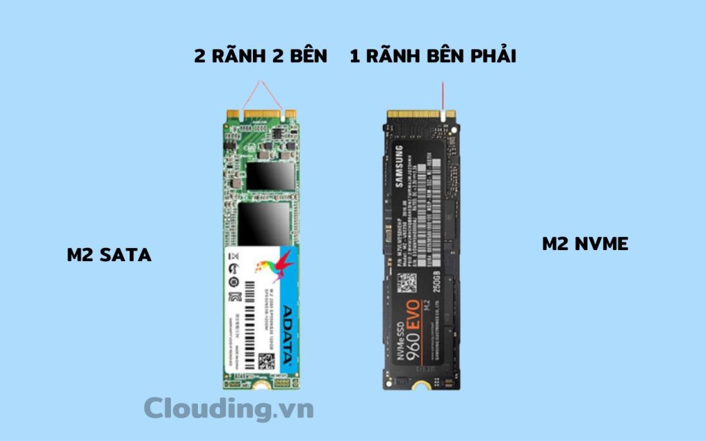 Phân Biệt Ổ Cứng SSD M2 Sata Và SSD M2 NVMe