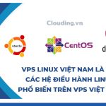 VPS Linux Việt Nam là gì Các hệ điều hành Linux phổ biến trên VPS Việt Nam