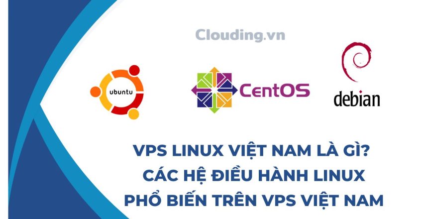 VPS Linux Việt Nam là gì Các hệ điều hành Linux phổ biến trên VPS Việt Nam