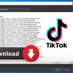 phần mềm Tiktok download hàng loạt video