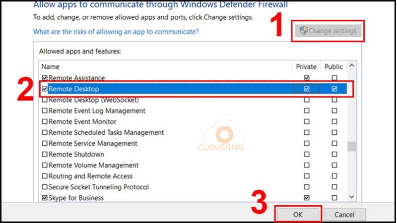 Nhấp vào mục Private và Public cho phần Remote Desktop