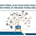 Băng thông là gì? Cách khắc phục bóp băng thông và trễ băng thông hiệu quả