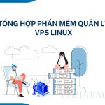 Tổng Hợp Phần Mềm Quản Lý VPS Linux