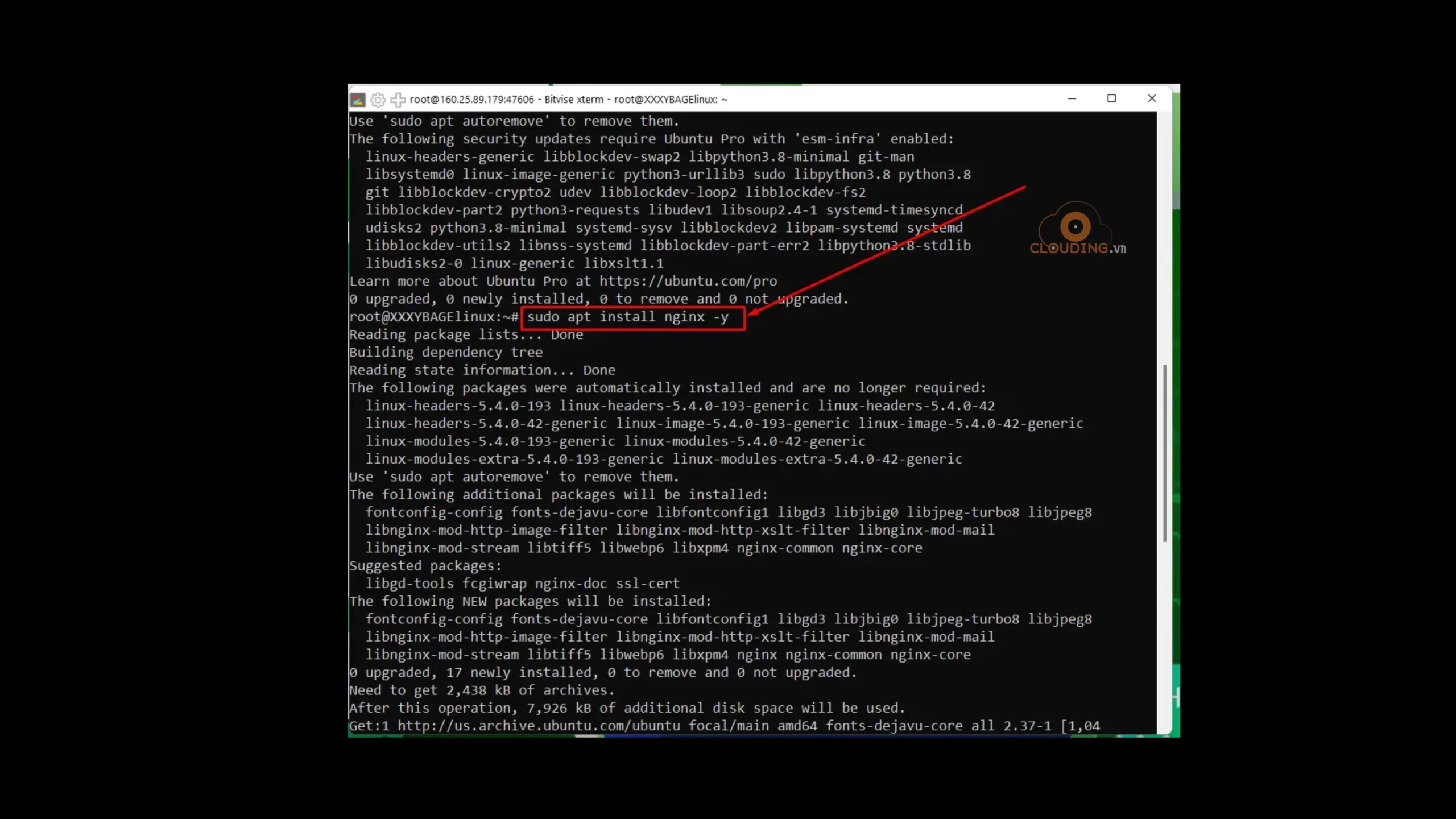 cài đặt Nginx