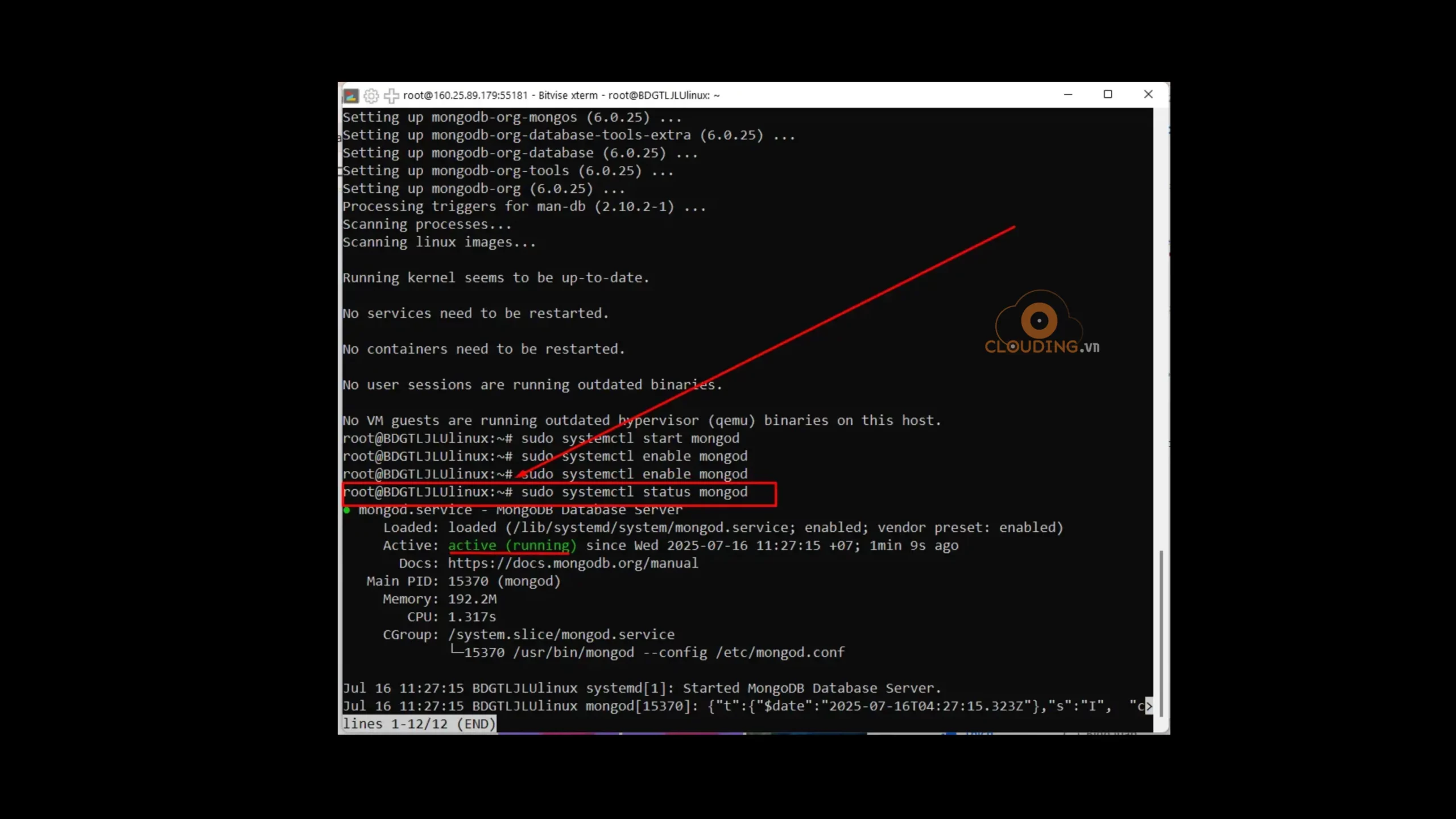 Kiểm tra trạng thái MongoDB