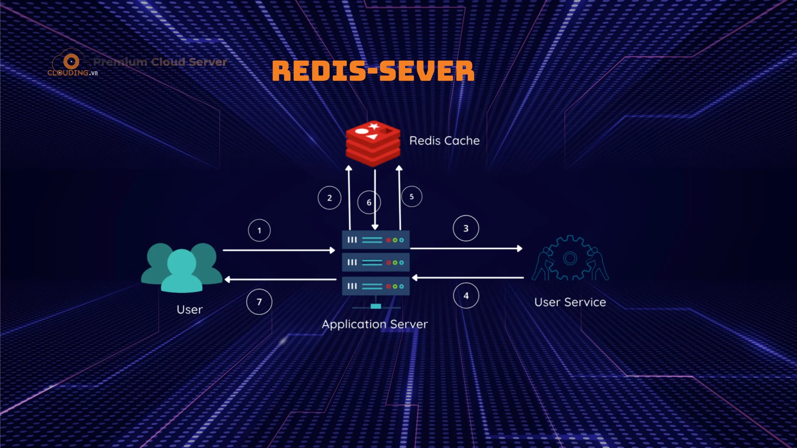 redis sever