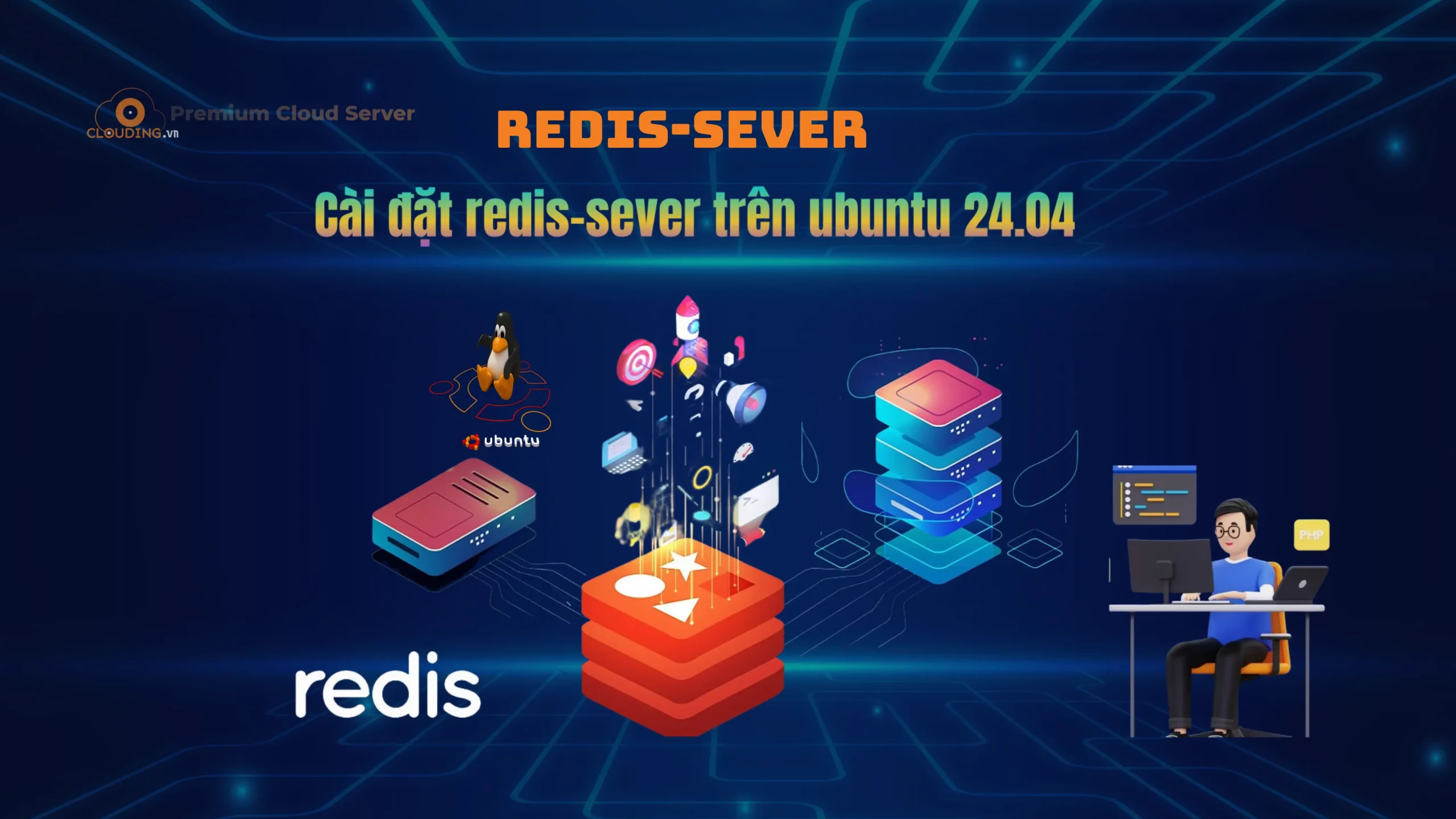 redis sever