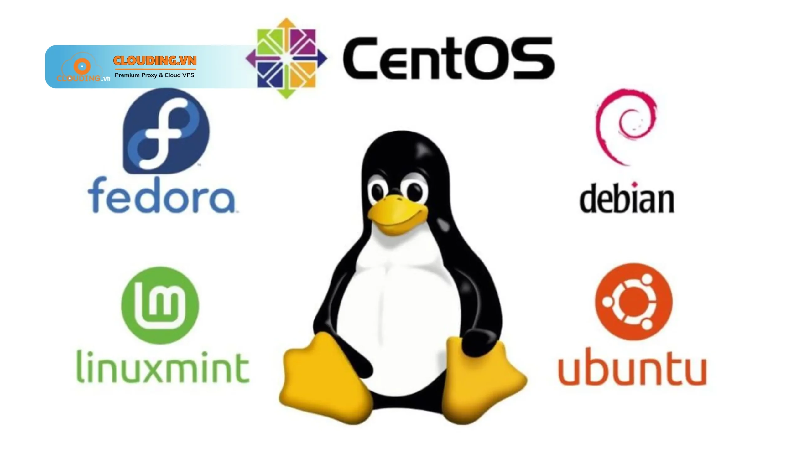 VPS Linux tại Clouding.vn