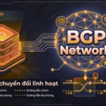 BGP Network