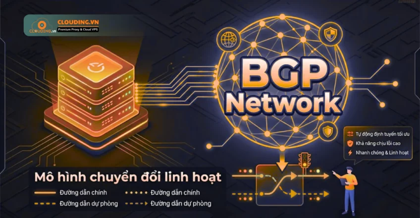 BGP Network