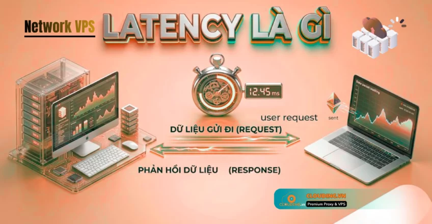 Network VPS Latency