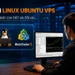 MT5 trên Linux Ubuntu VPS