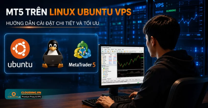 MT5 trên Linux Ubuntu VPS