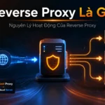 Reverse Proxy