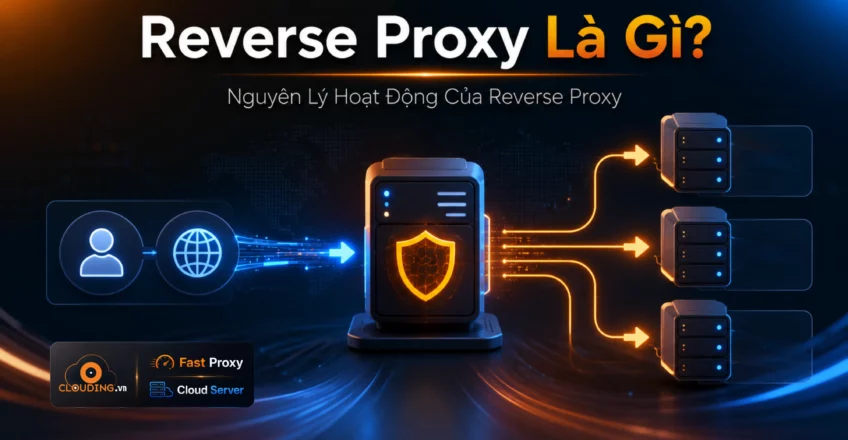 Reverse Proxy
