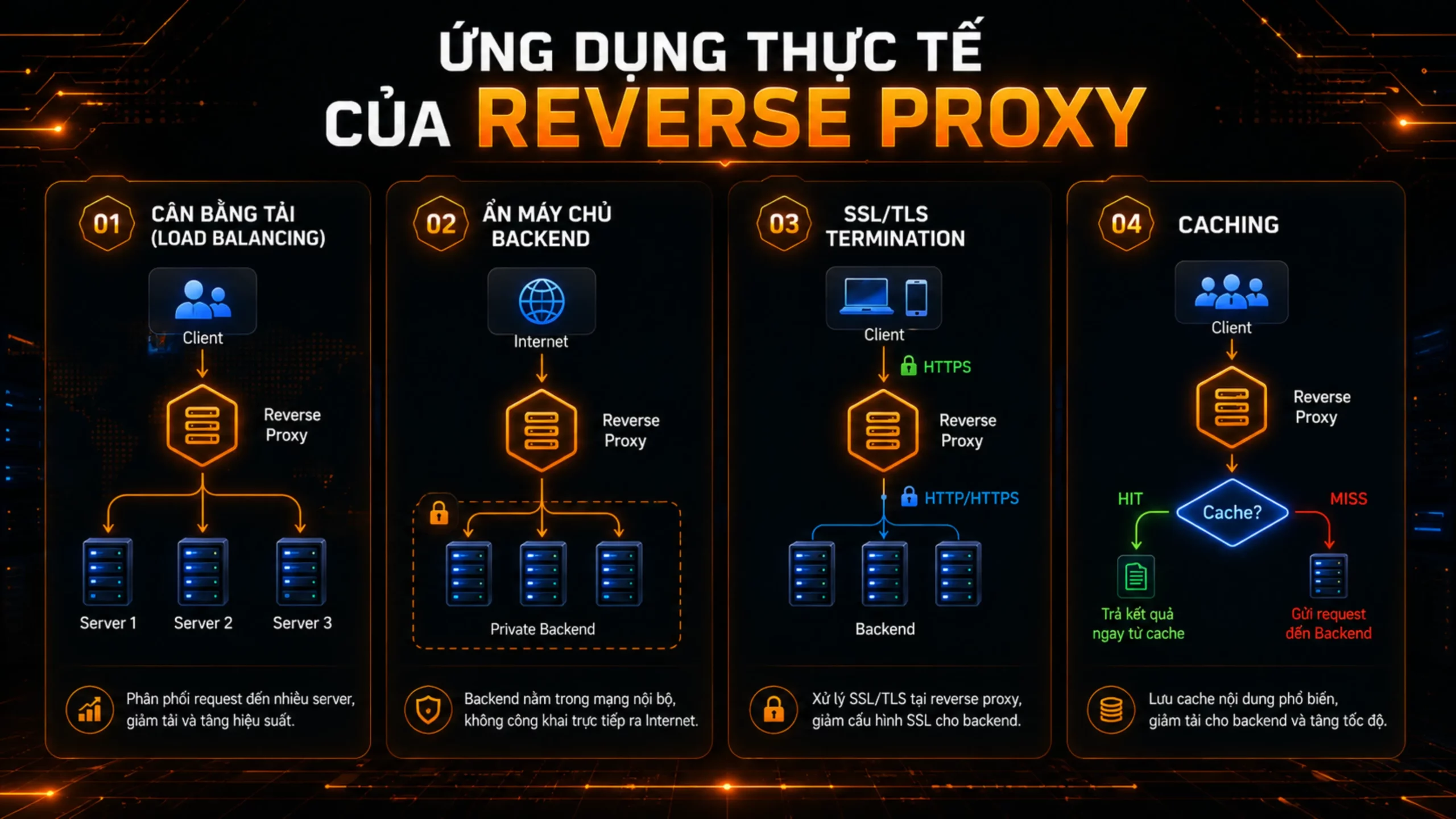 Ứng dụng thực tế